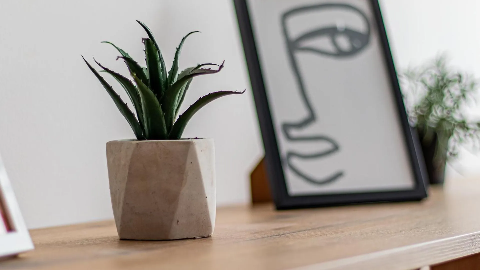 Apartment Vitosha Loft - Central Sofia Studio Bulgaria